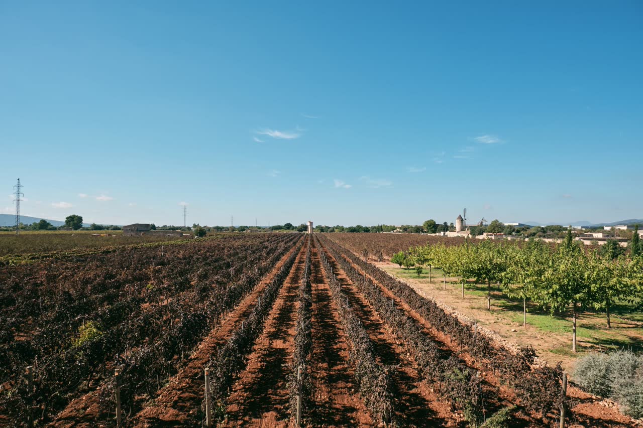 Bodegas José L. Ferrer – Foto 2