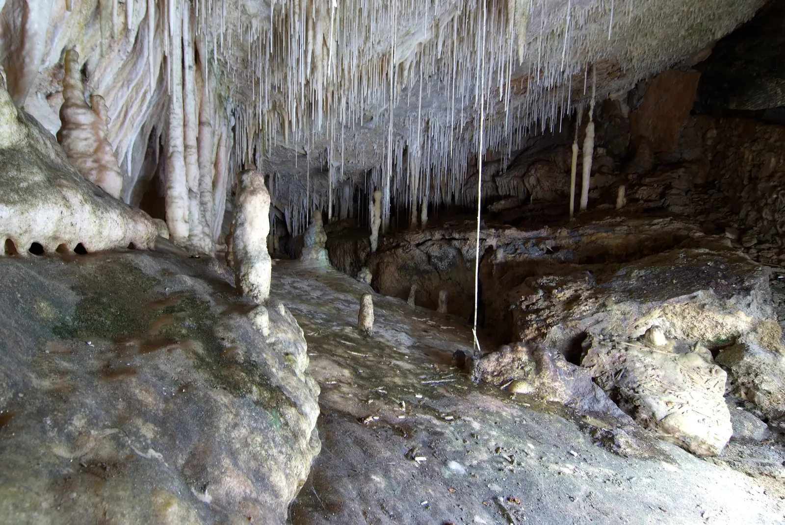 Cuevas de Campanet (Campanet-Höhlen) – Foto 1