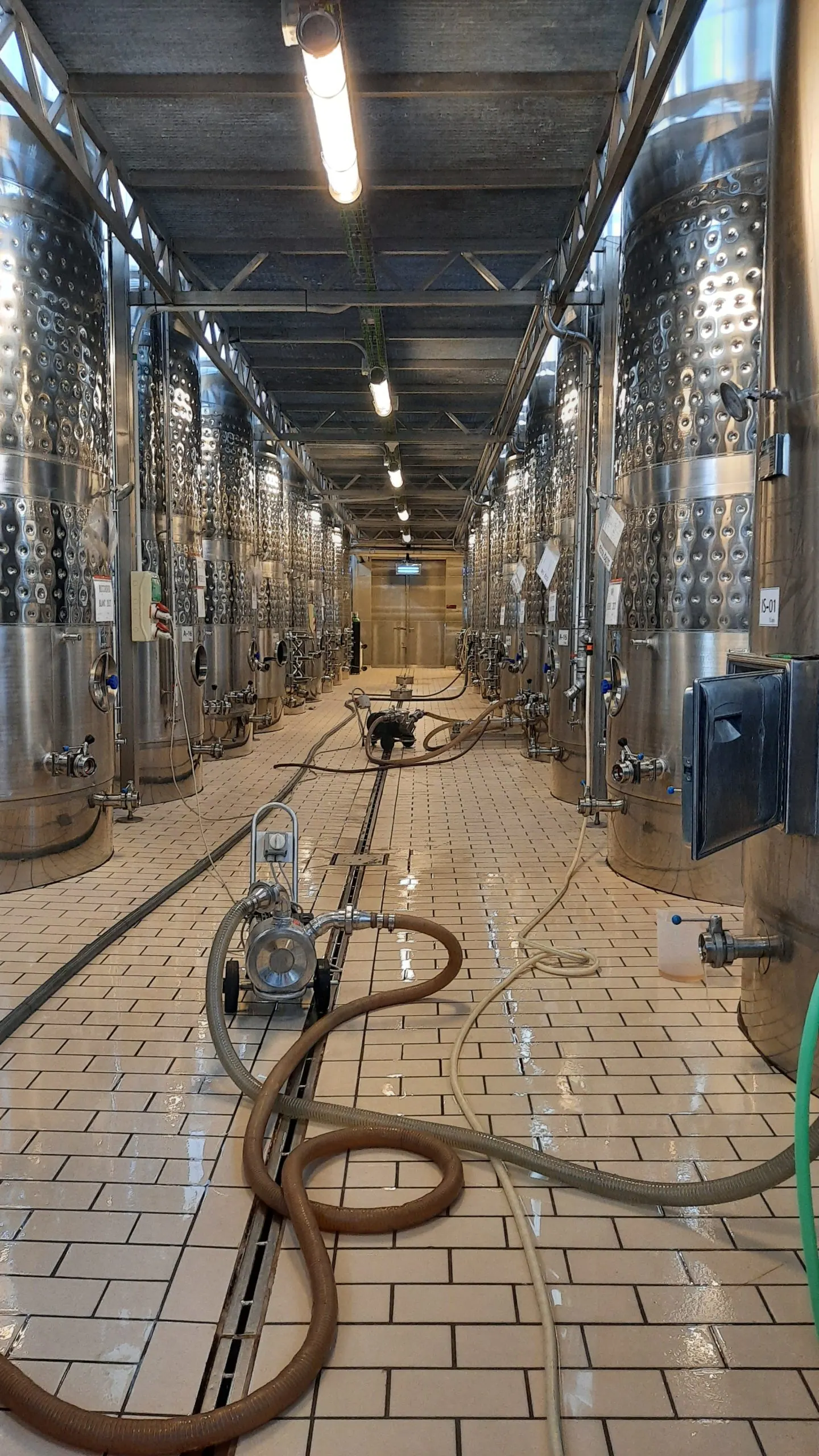 CELLER TIANNA NEGRE – Foto 6
