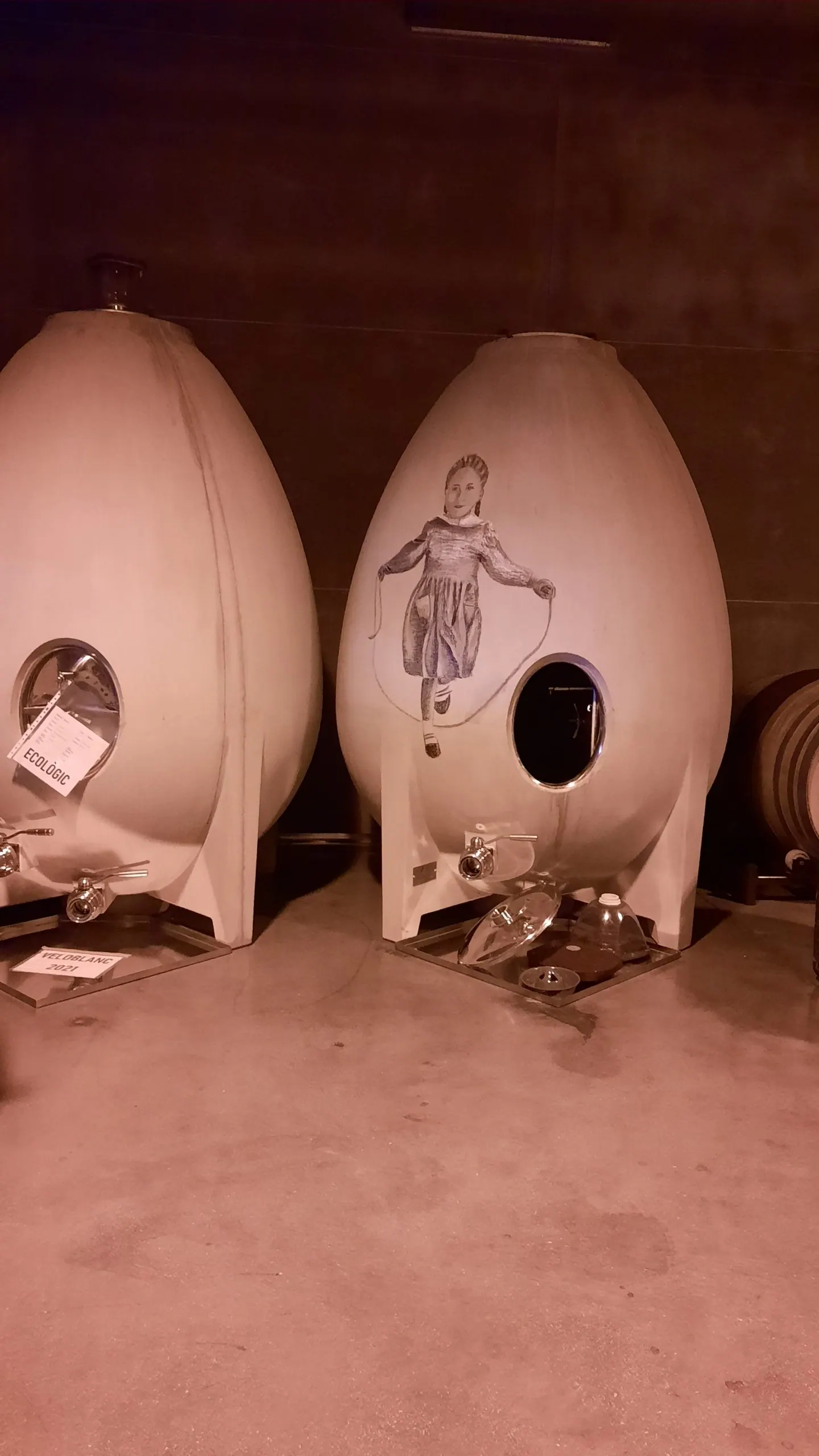 CELLER TIANNA NEGRE – Foto 5