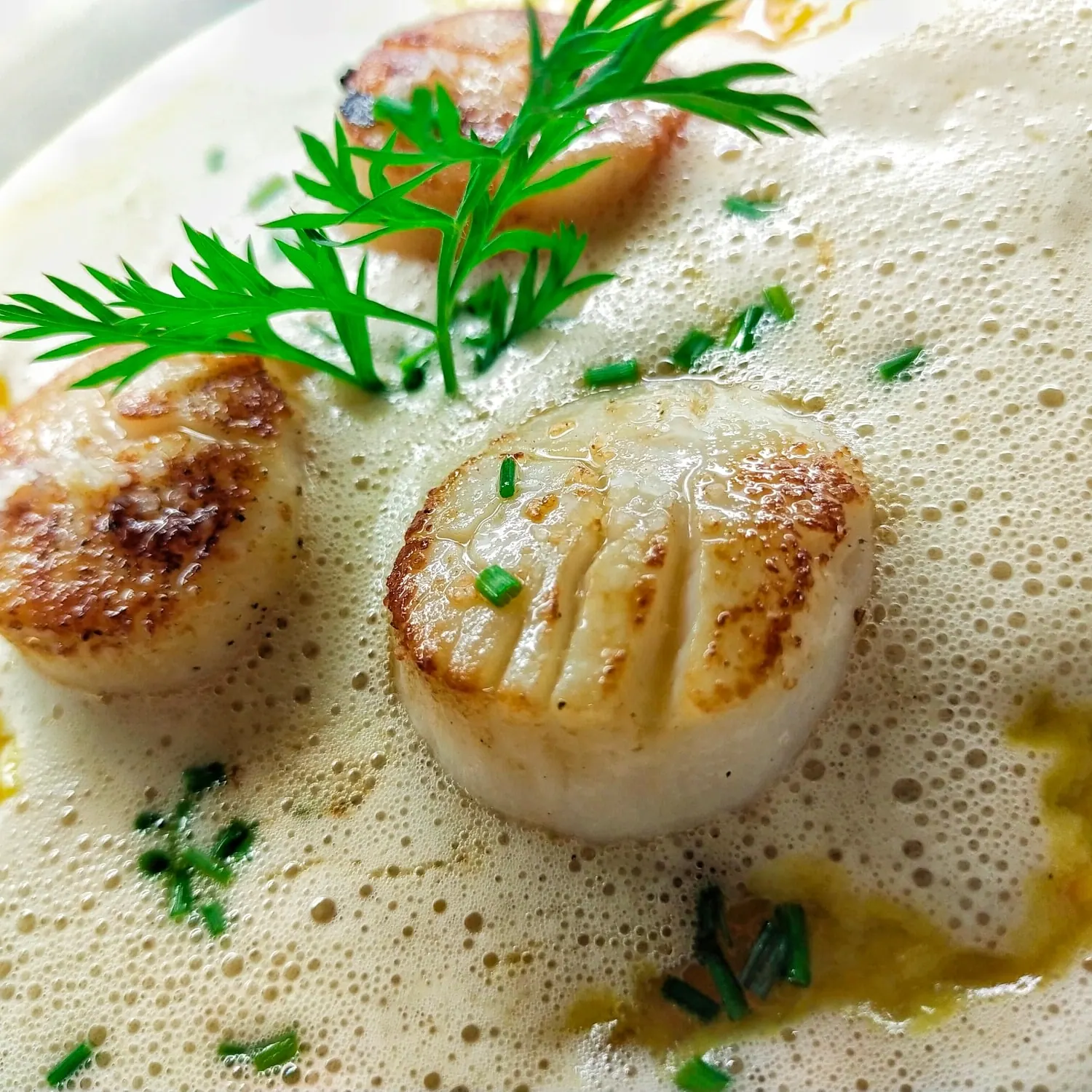 Port Petit Restaurant – Foto 3