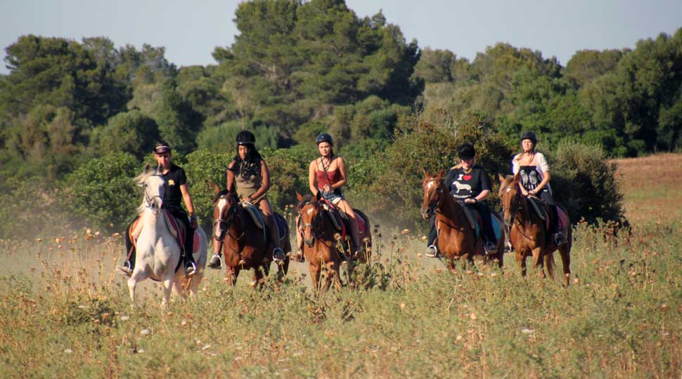 Rancho Grande Park – Foto 5