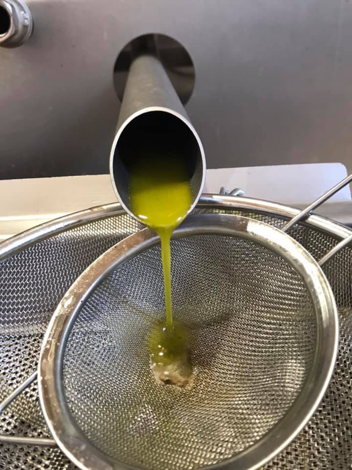Can OmXai - Olivenöl-Manufaktur – Foto 4