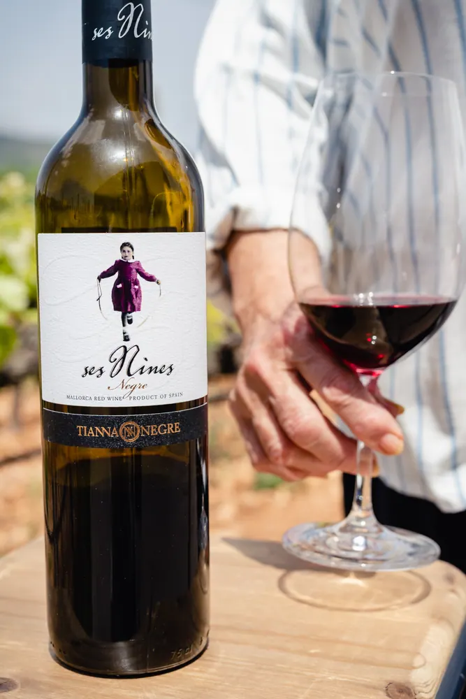 CELLER TIANNA NEGRE – Foto 1