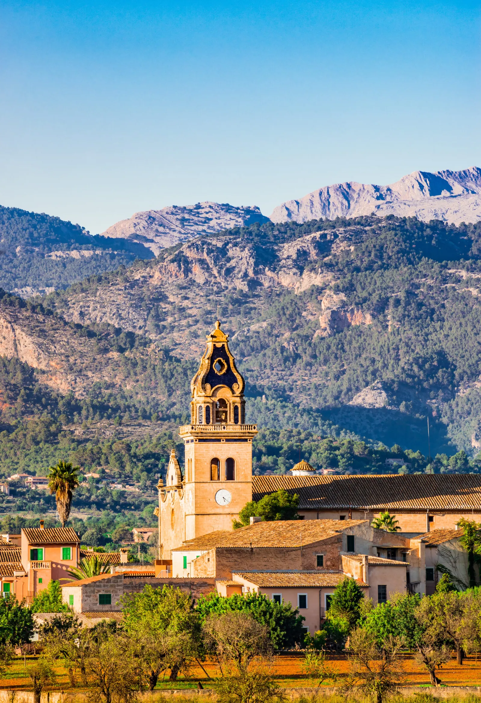 Associació de Comerciants i Serveis de Santa Maria del Camí – Foto 1