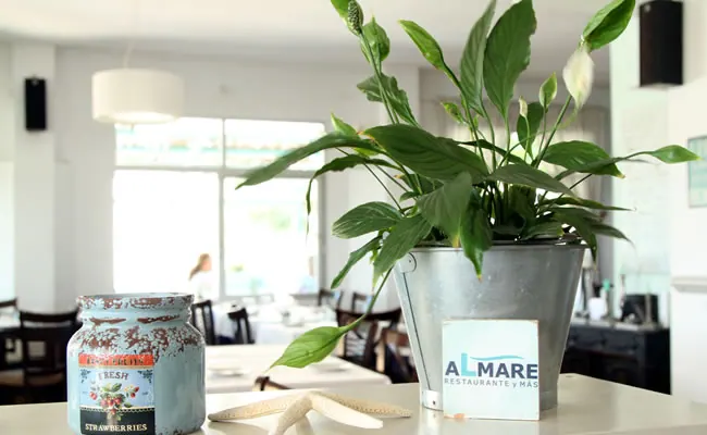 ALMARE Restaurant – Foto 2