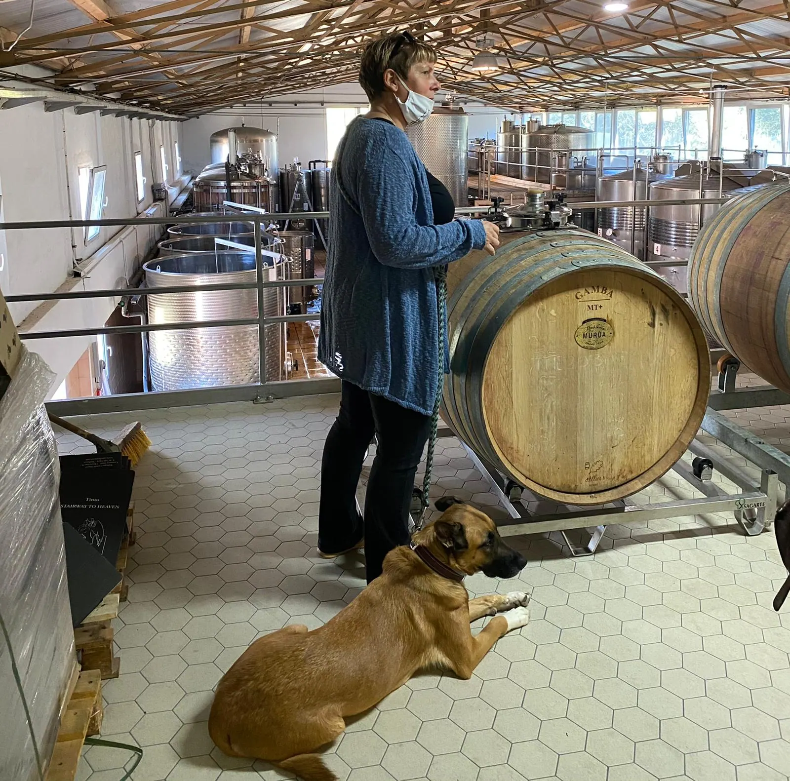 La Bodega de la Rubia SINEU – Foto 3