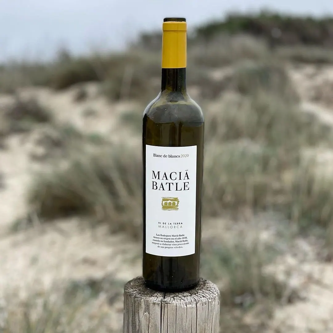 Bodegues Macía Batle - Weingut – Foto 6