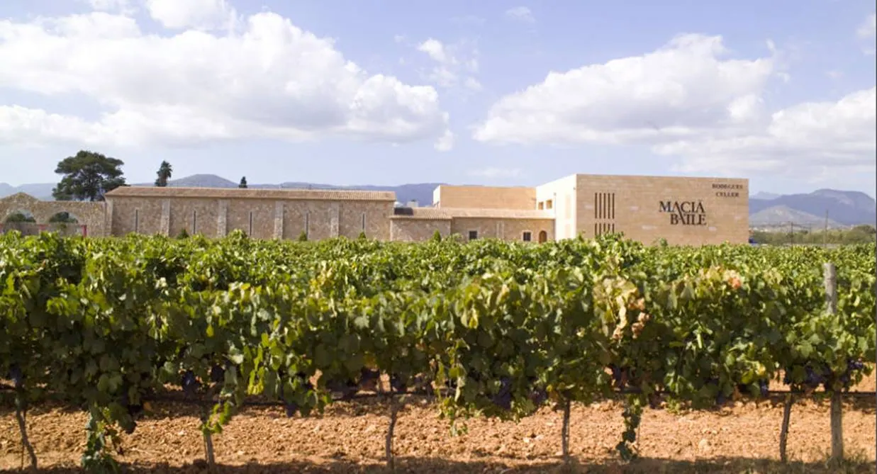 Bodegues Macía Batle - Weingut – Foto 1