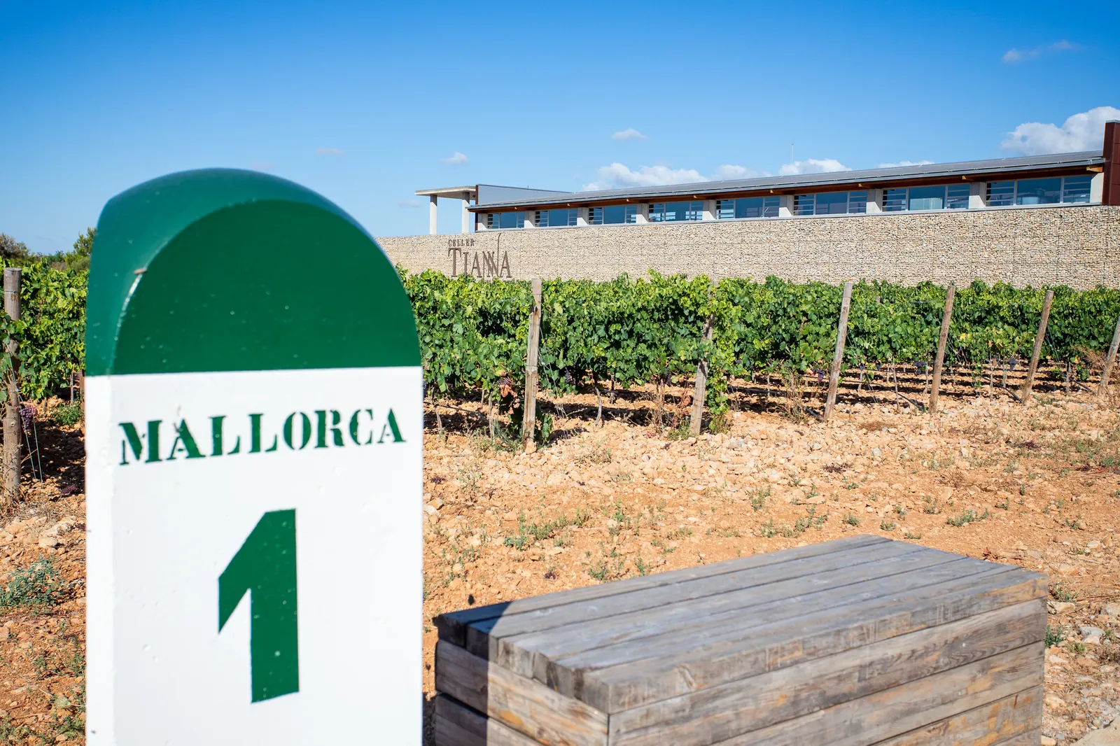 CELLER TIANNA NEGRE – Foto 4