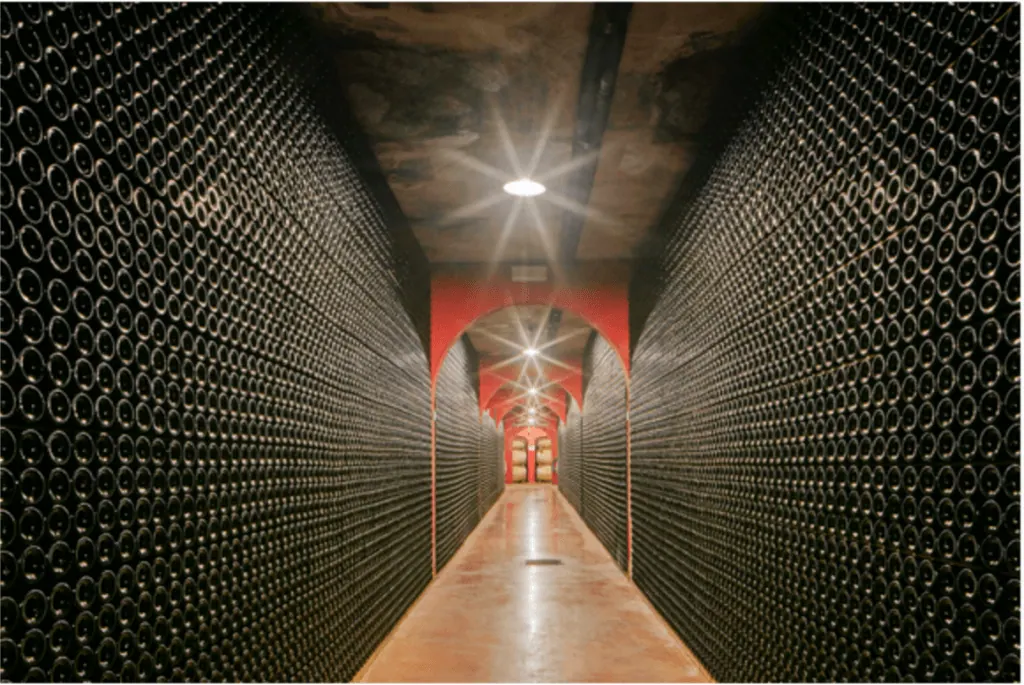 Bodegues Macía Batle - Weingut – Foto 3