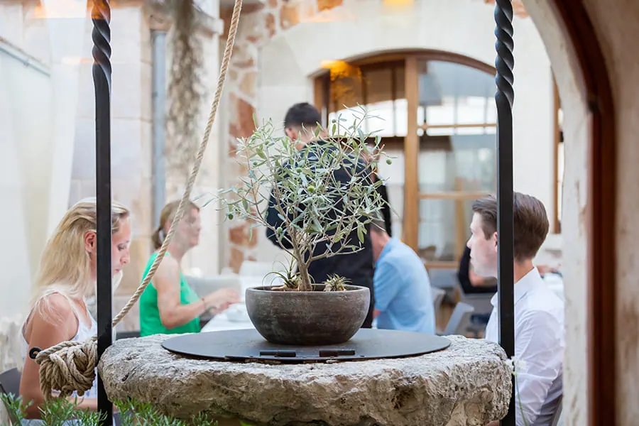 Restaurant DAICA – Foto 3