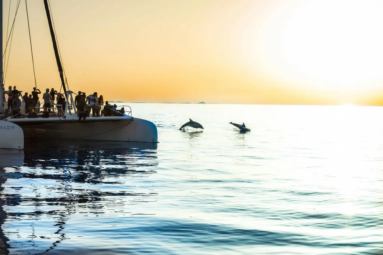 mayurca yachting - Katamaran und Segelboot Mallorca – Foto 2