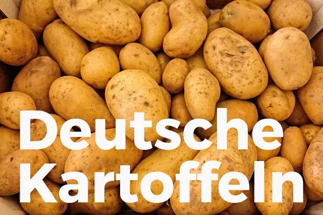 Deutsche Lebensmittel Gourmetmarkt S.L. – Foto 5