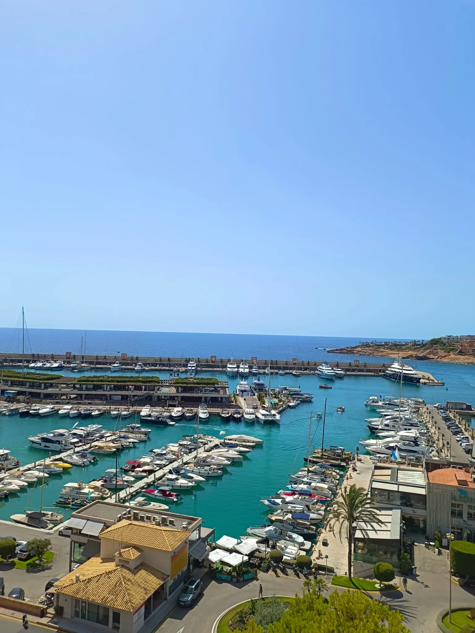 MajaLeo Immobilien – Foto 5