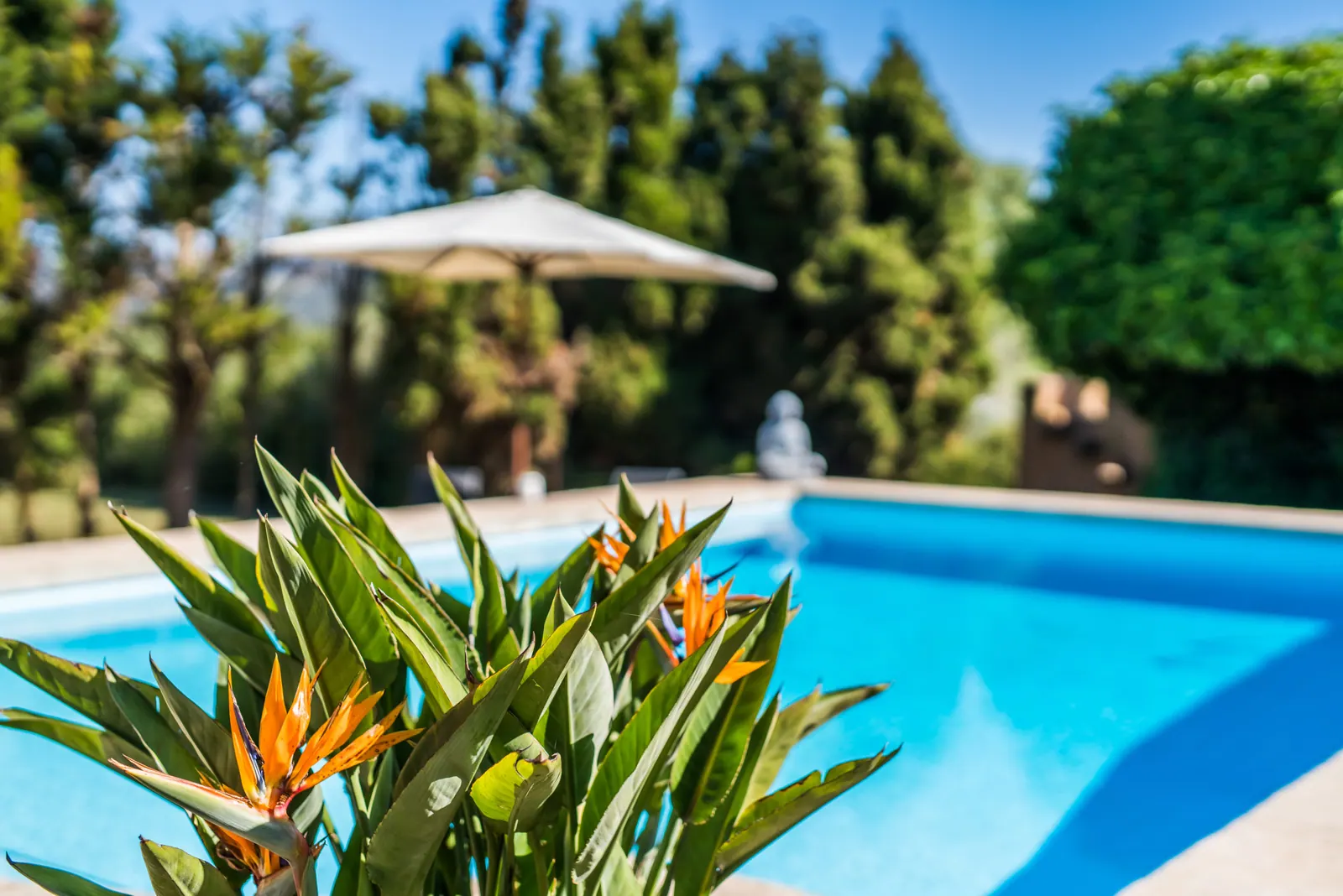 Finca Son Catiu – Foto 2