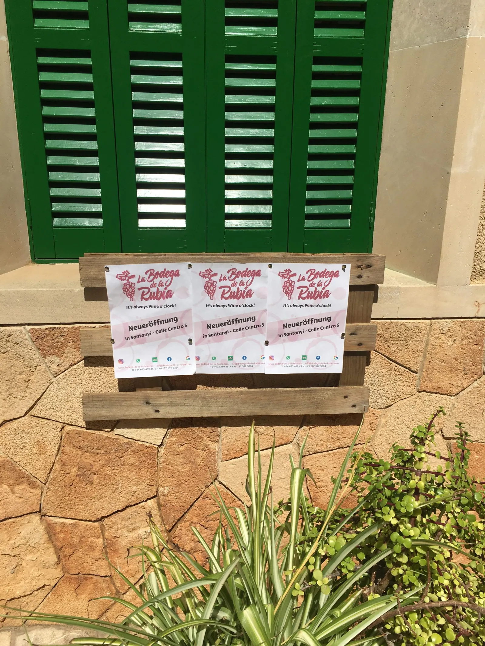 La Bodega de la Rubia SANTANYI – Foto 4