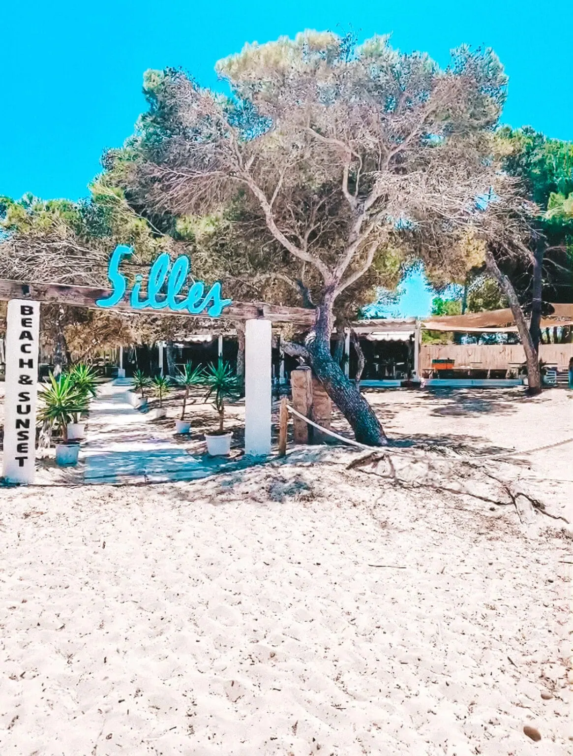 5illes Beach&Sunset – Foto 6