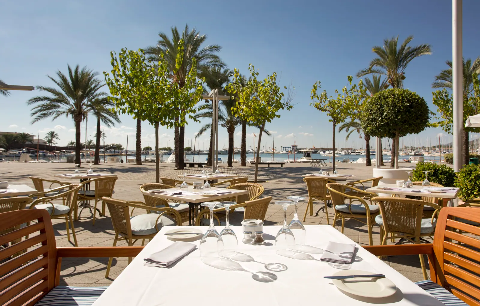 Miramar Restaurant – Foto 2