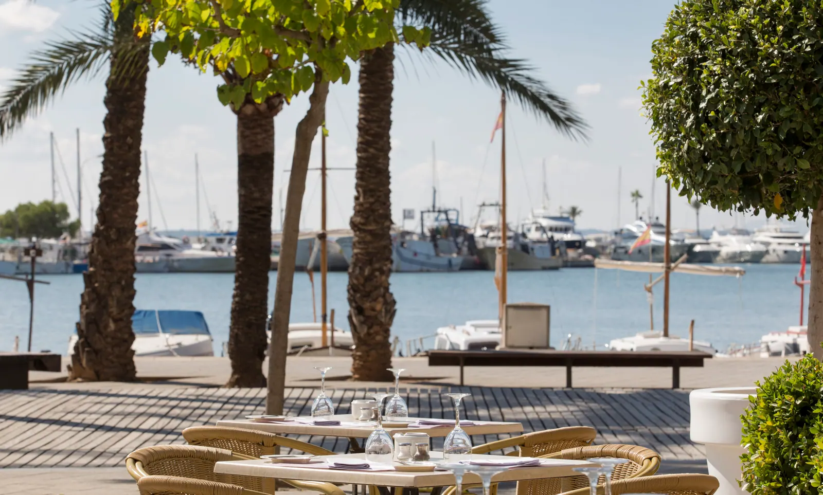 Miramar Restaurant – Foto 4