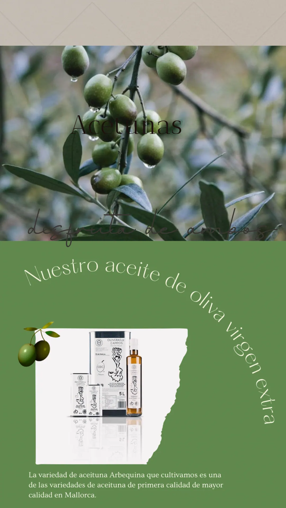 Oliveras de Campos – Foto 1