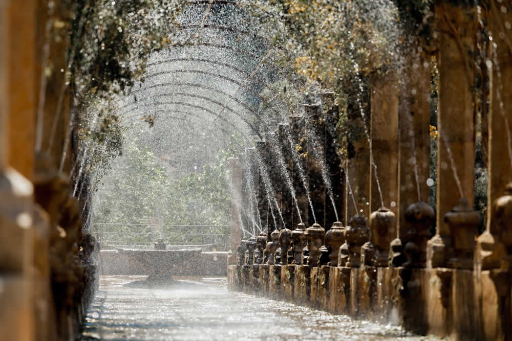 Jardines de Alfàbia – Foto 4