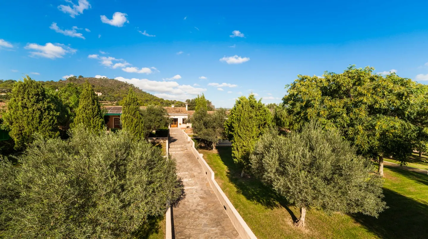 SonCorb Boutique Hotel – Foto 4