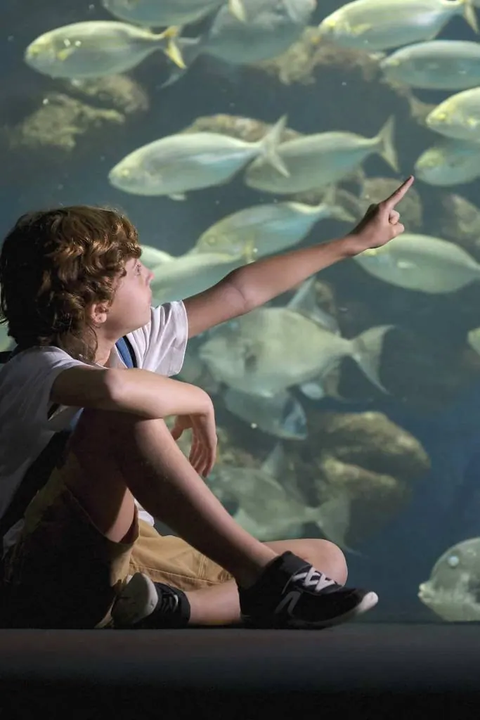 Palma Aquarium – Foto 4