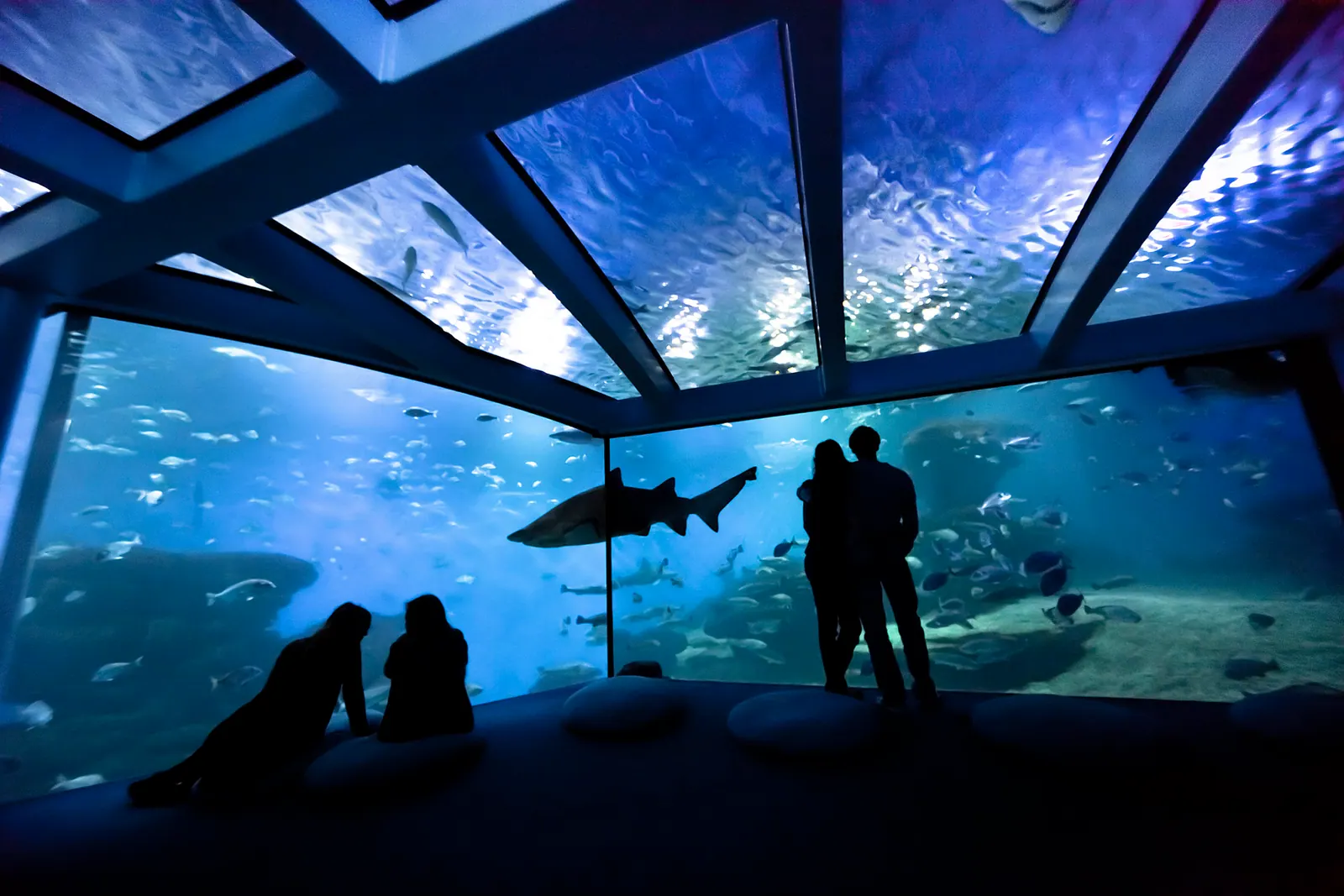 Palma Aquarium – Foto 2