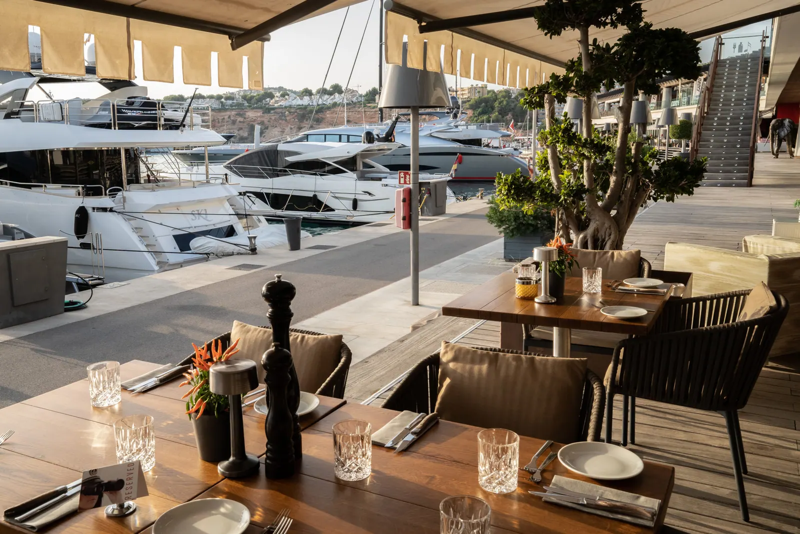 Port Adriano - Yachthafen – Foto 3