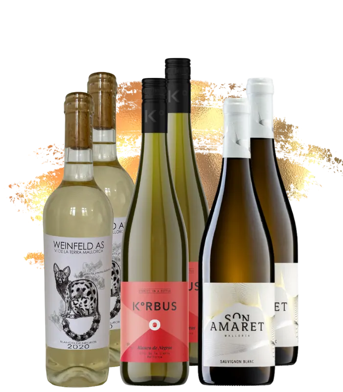 VINO DE LA ISLA – Foto 1
